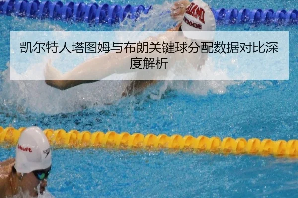 凯尔特人塔图姆与布朗关键球分配数据对比深度解析